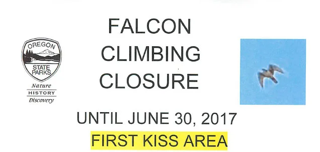FalconclosureFirstKiss.jpg
