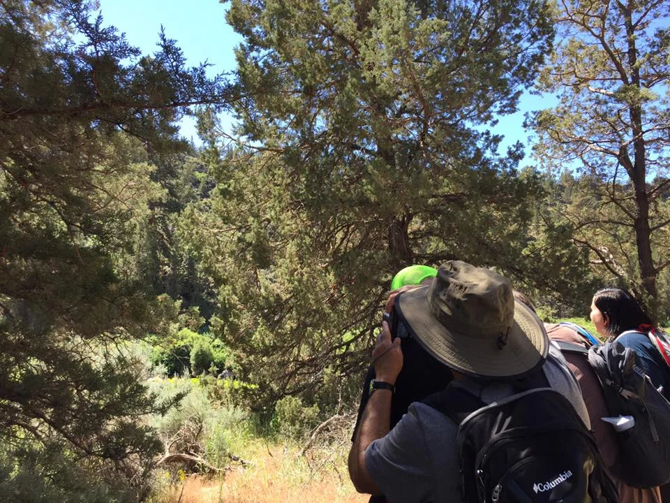 Taking a picture through the spotting scope of the bald eagles nesting