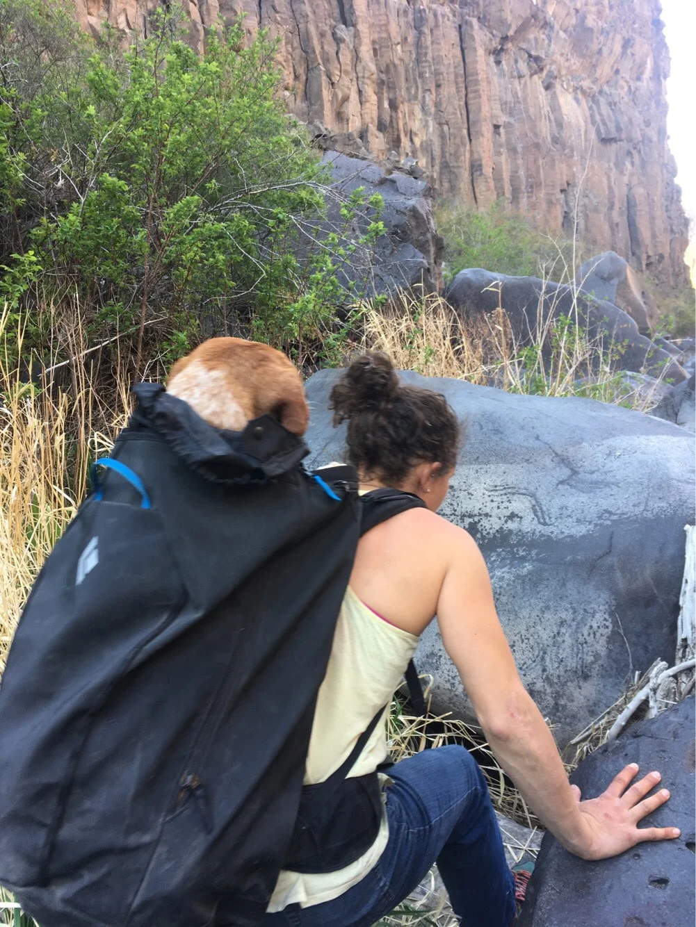 Rebecca Yaguda finds a new use for her pack in helping a freezing wet dog out of The Gorge at Smith Rock.