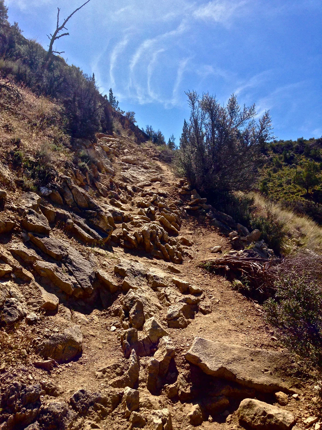Rocky connector from the Wolf Tree Trail to the Burma Road