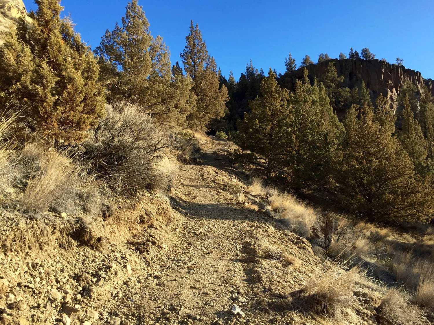 Headed up the Wolf Tree fork to the Burma Road.