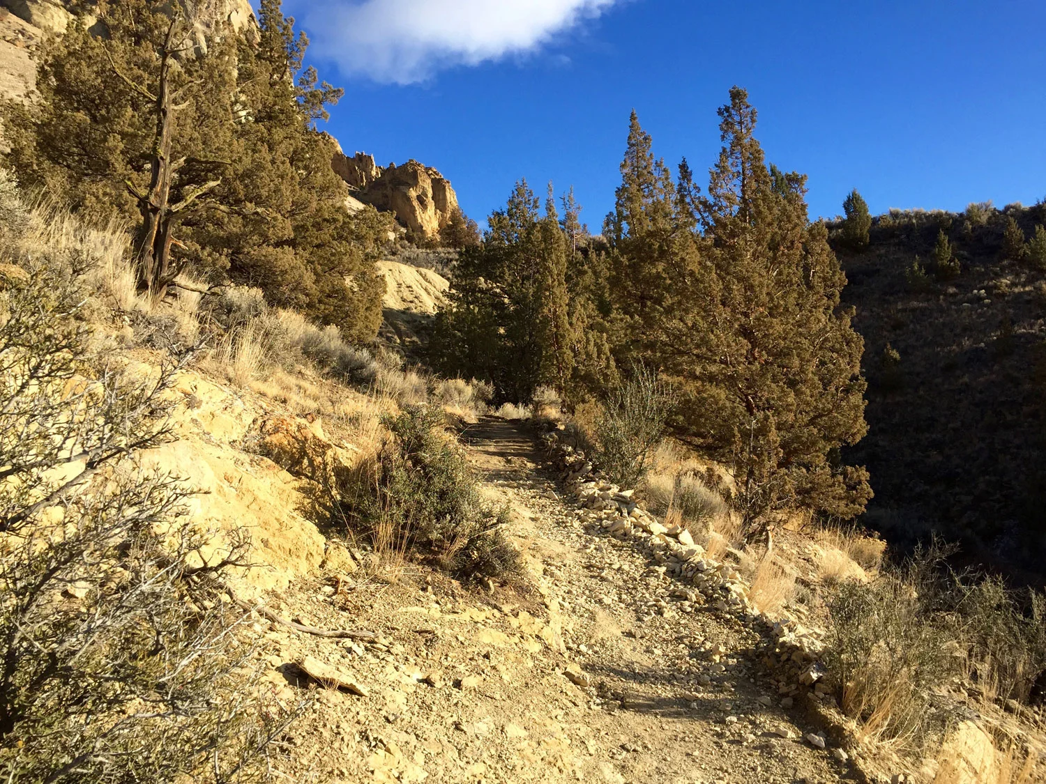 Final stretch of the Wolf Tree Trail with Burma Road cited.