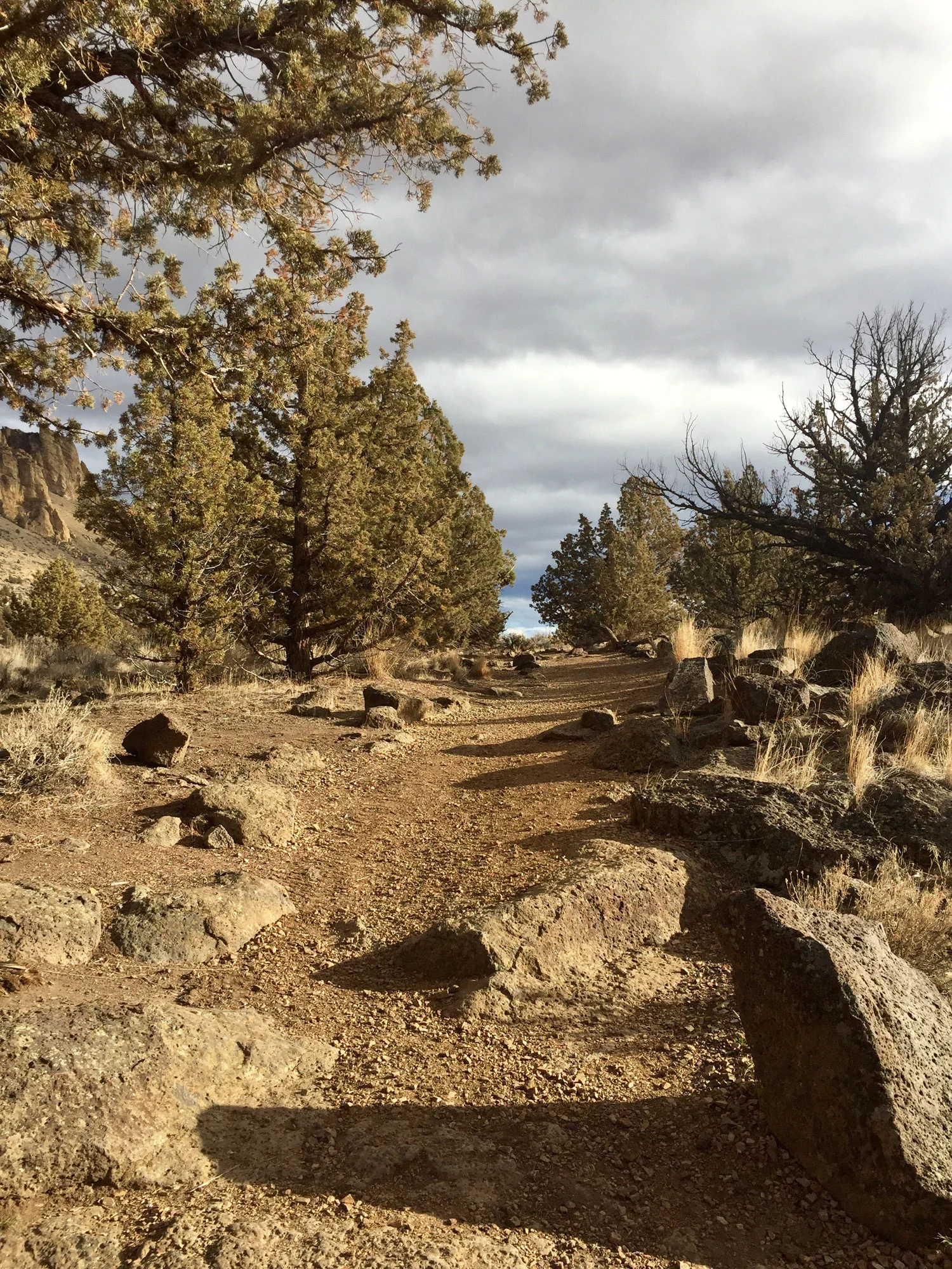 And the final path out to the parking lot of the Homestead.