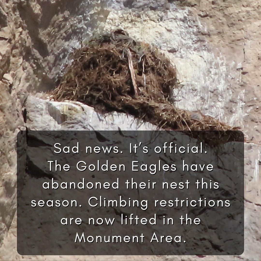 While we saw Mom sitting on the nest just a few weeks ago, things have changed for unknown reasons per Park Management. The Monument climbing area closure is now lifted and open for climbing, as unfortunately the golden eagle nest was unsuccessful th