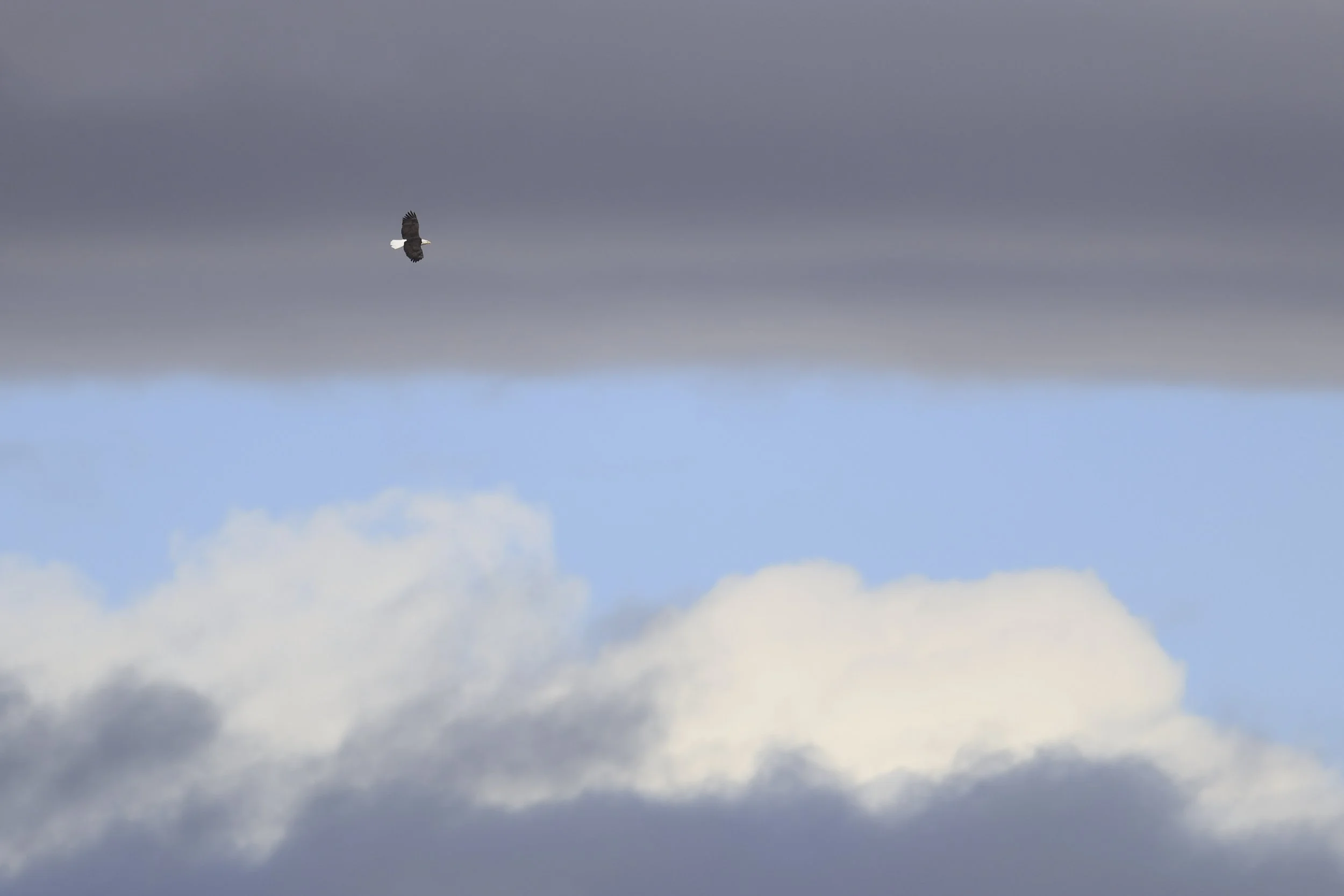 Oct-27-24-00110 (1).jpg