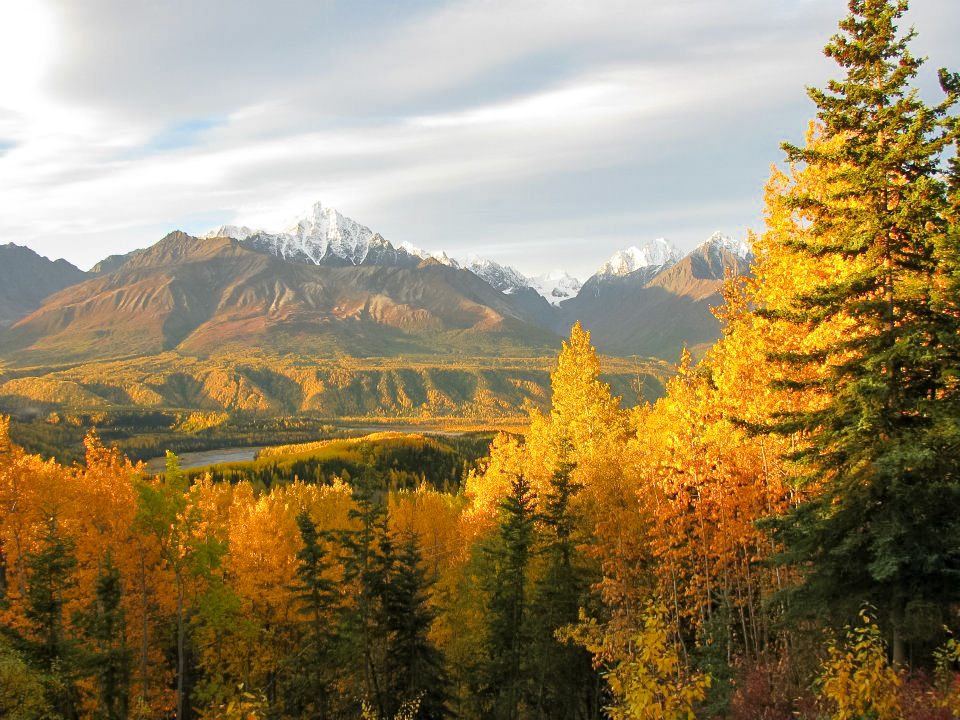 Homestead Guest Cabins beautiful autumn foliage