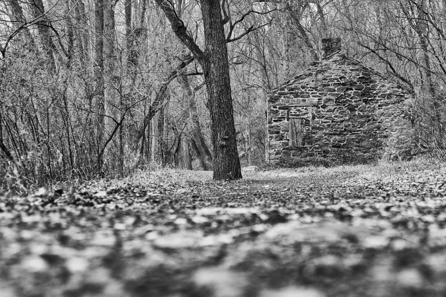 Valley Forge PA