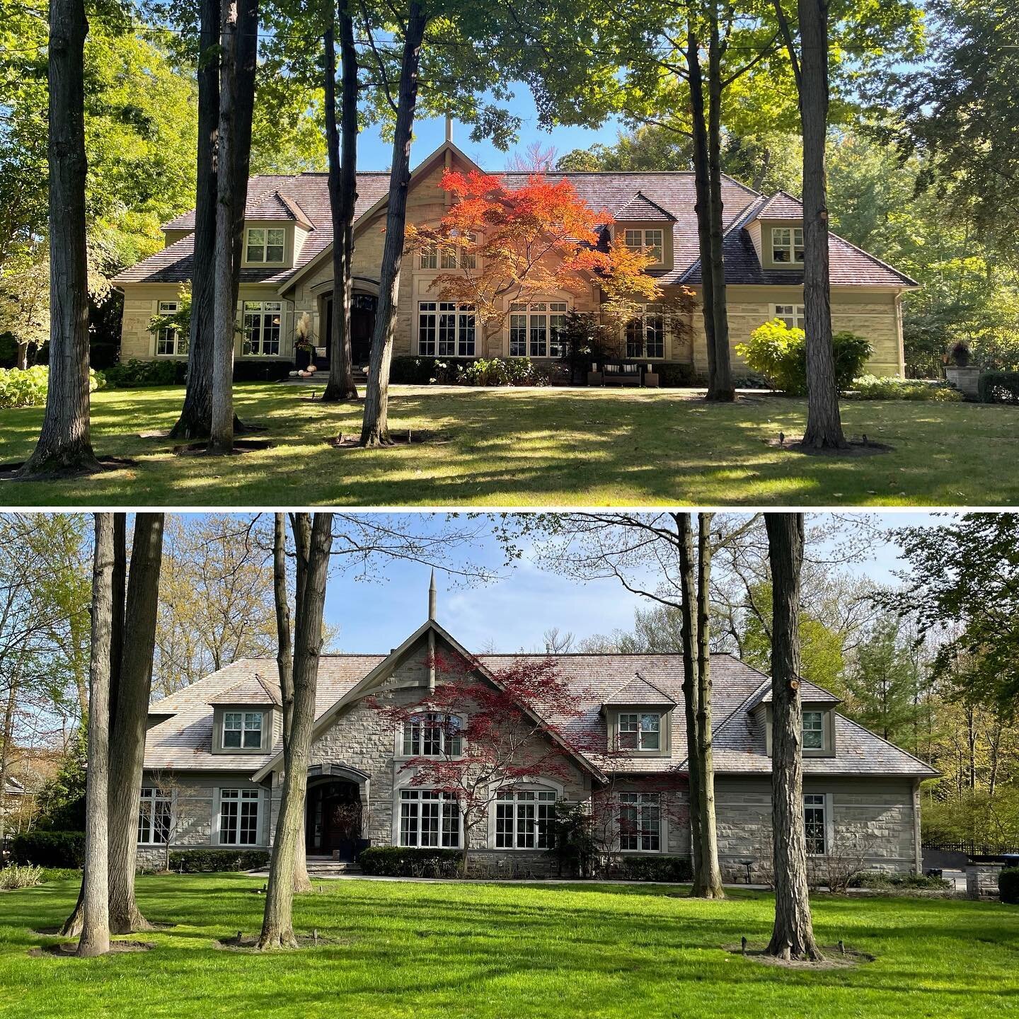 Large home in Mississauga just cleaned.  20 year old cedar roof looking new again!

#cedarroofcleaning #mossremoval #cedarroofcleaningoakville  #cedarroofcleaningmississauga #softwashingcedar #pressurewashingcedarroof  #softwashing #softwash #pressur