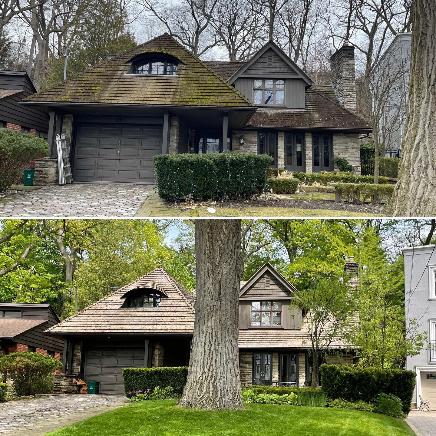 Etobicoke home revitalized!  15 years of moss and algae eradicated and many more years added to the lifespan of this cedar shake roof!

#cedarroofcleaning #mossremoval #cedarroofcleaningoakville  #cedarroofcleaningmississauga #softwashingcedar#pressu