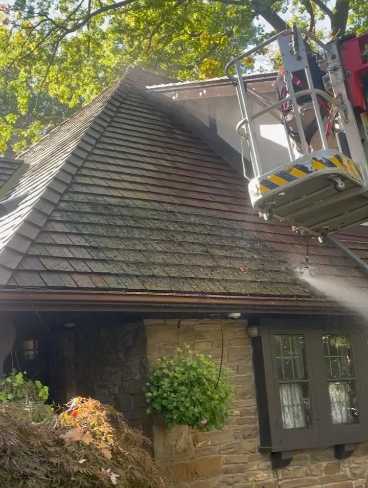 Etobicoke century home…18 yrs of organic growth gone!