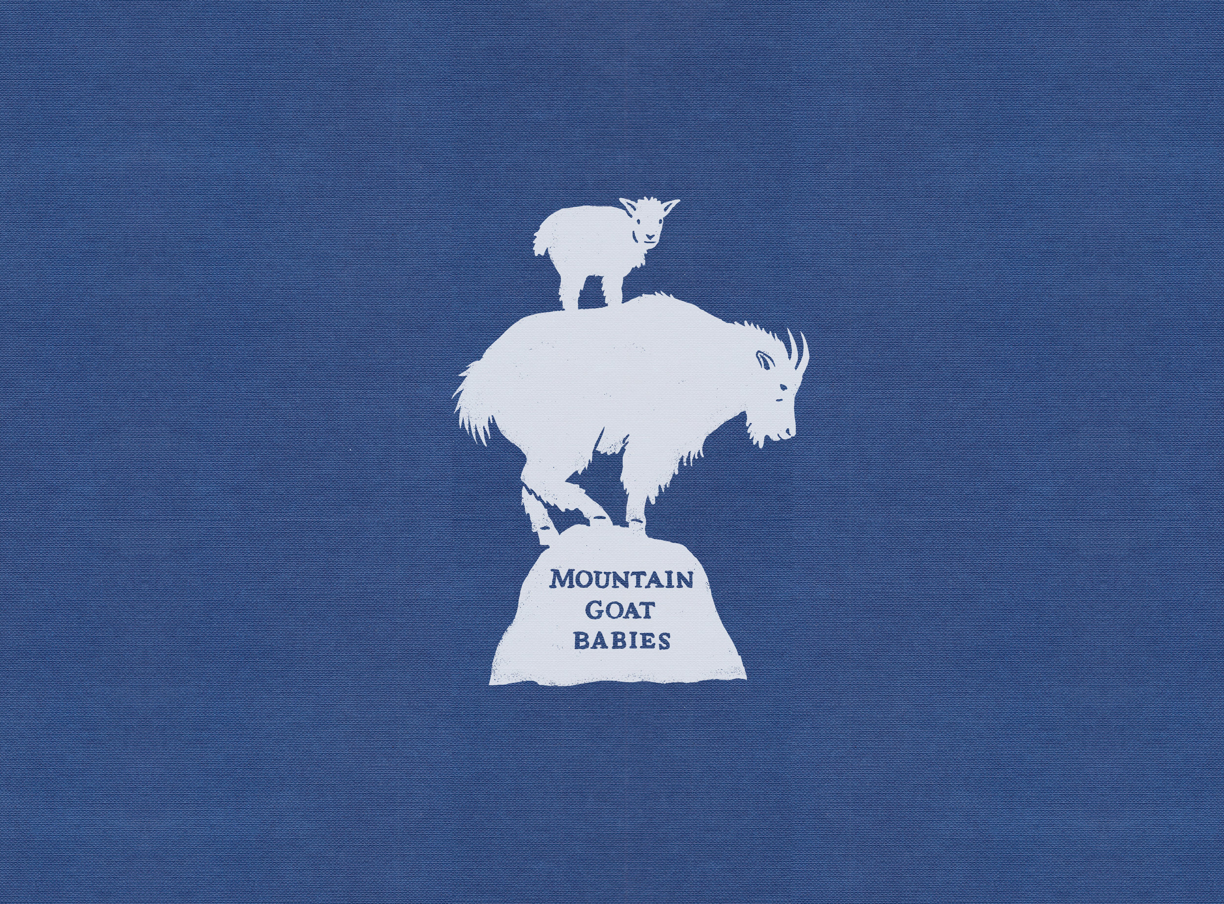 Baby Mountain Goats.jpg