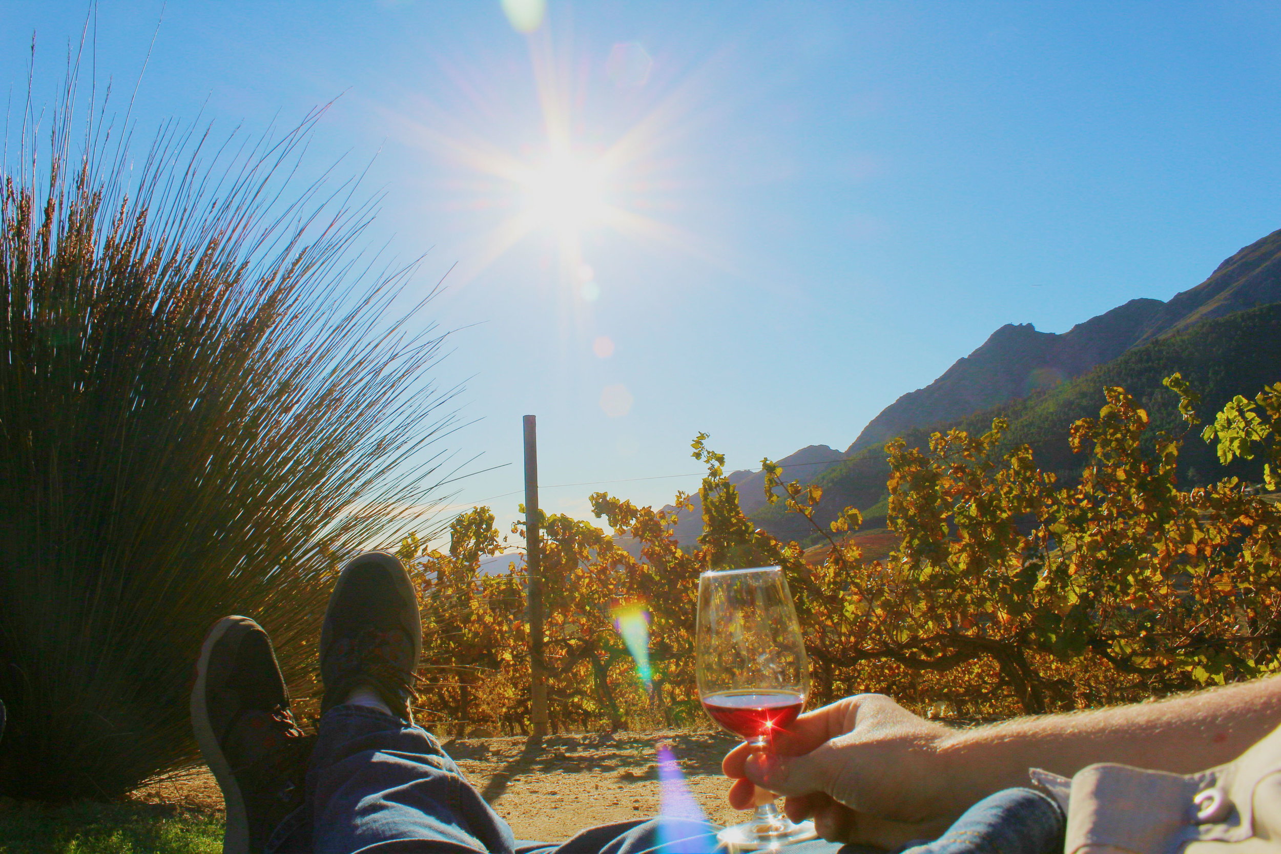 South Africa Wine Country - Franschhoek & Stellenbosch