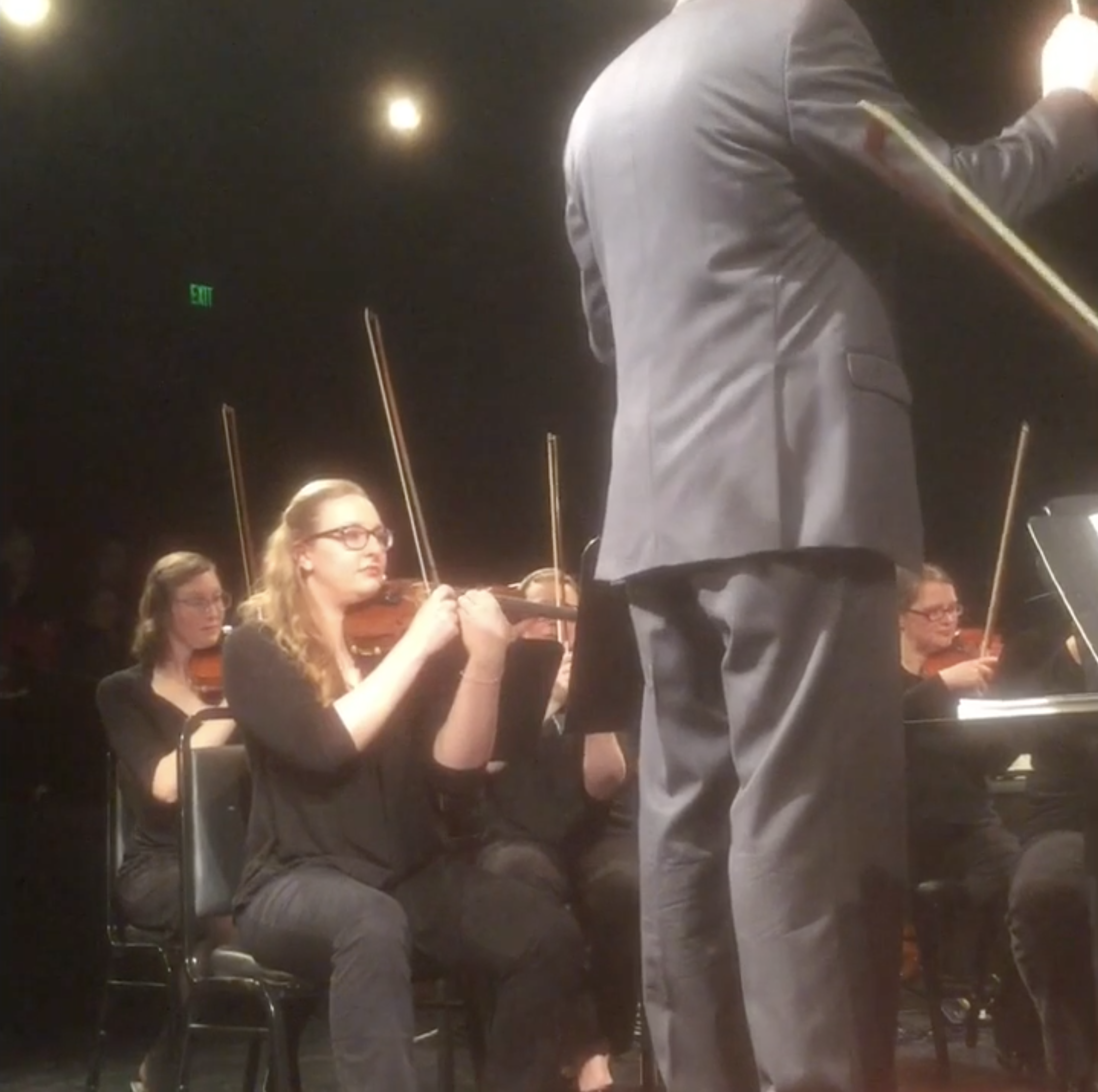 Ageless Jazz Band and the Ithaca Community Orchestra