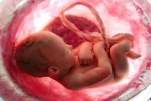 placenta-importance-in-fetal-development-8-300x200.jpg