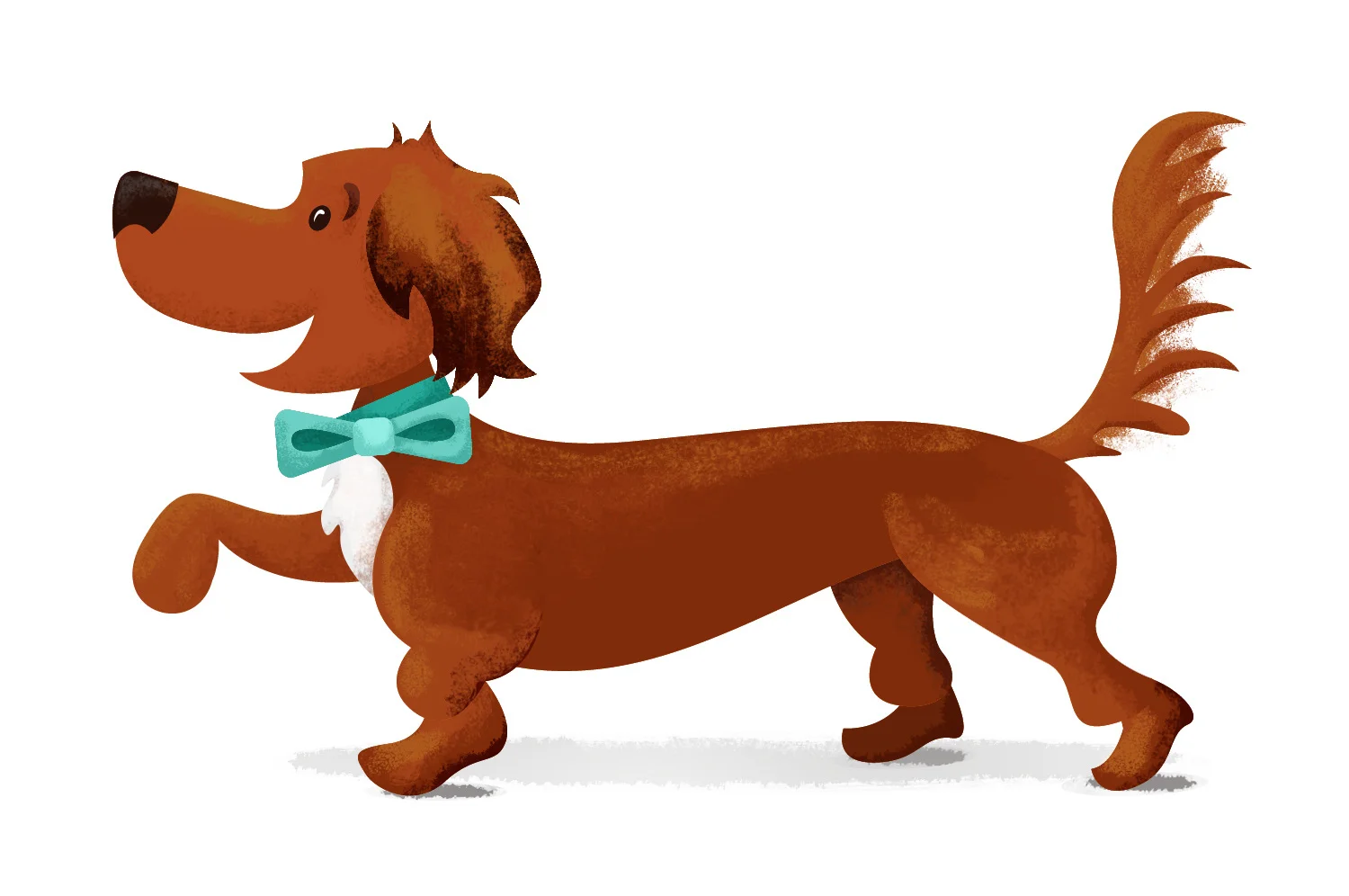 Lucky_Bow-Tie-01_1500.jpg