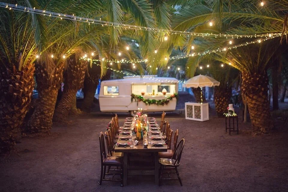 How is this for a dreamy palm setting? 🌴🍹
