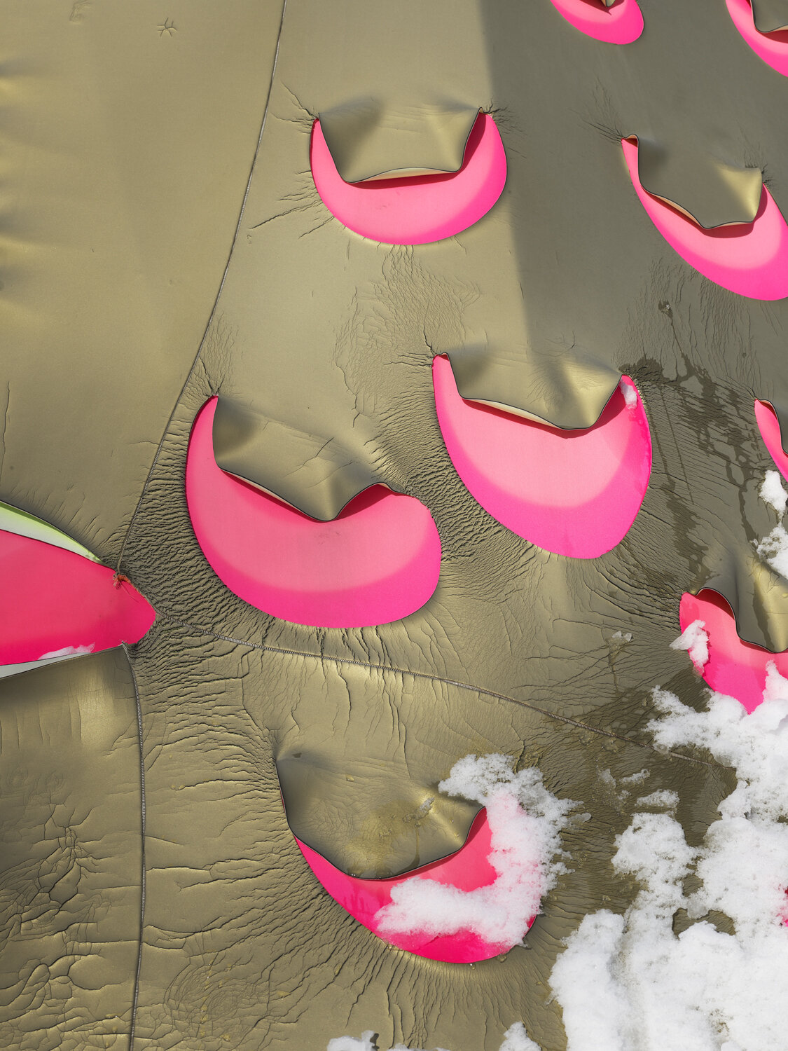 Detail of Pink Turret, Winter 2020