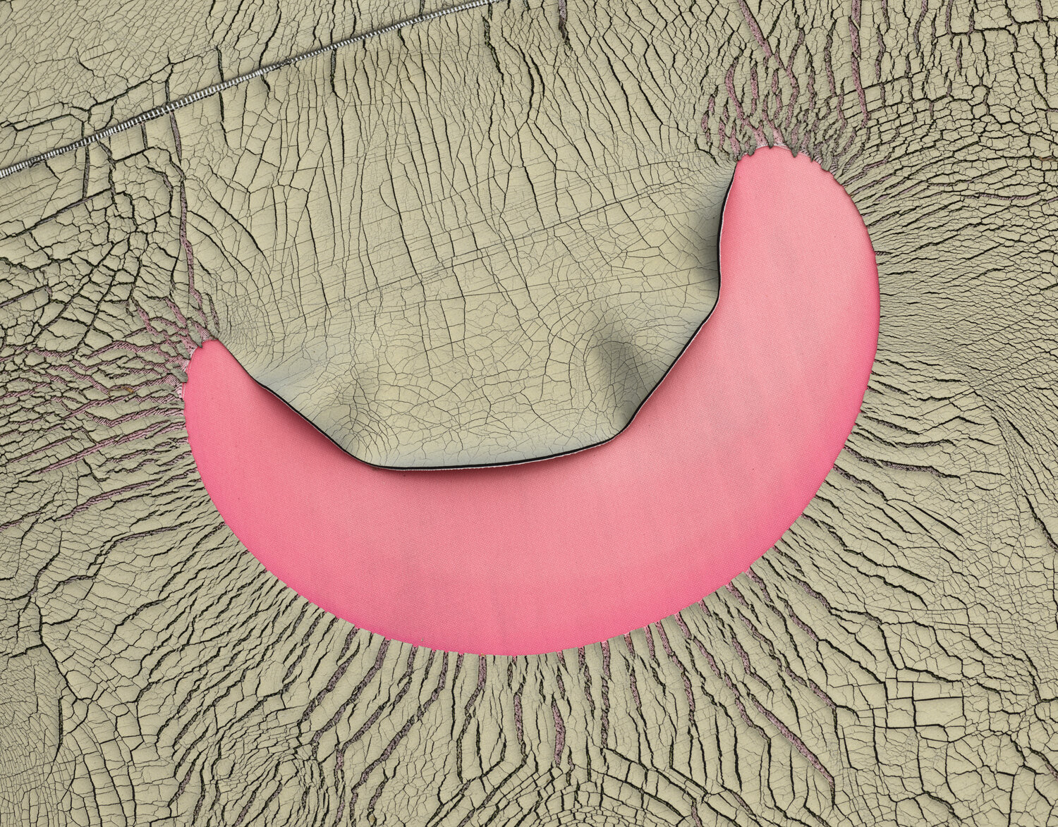 Detail of glideskin on Pink Turret, Spring 2020
