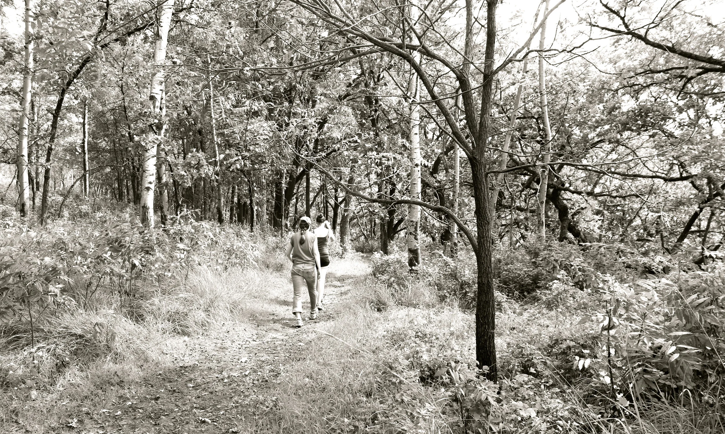 Frontenac State Park