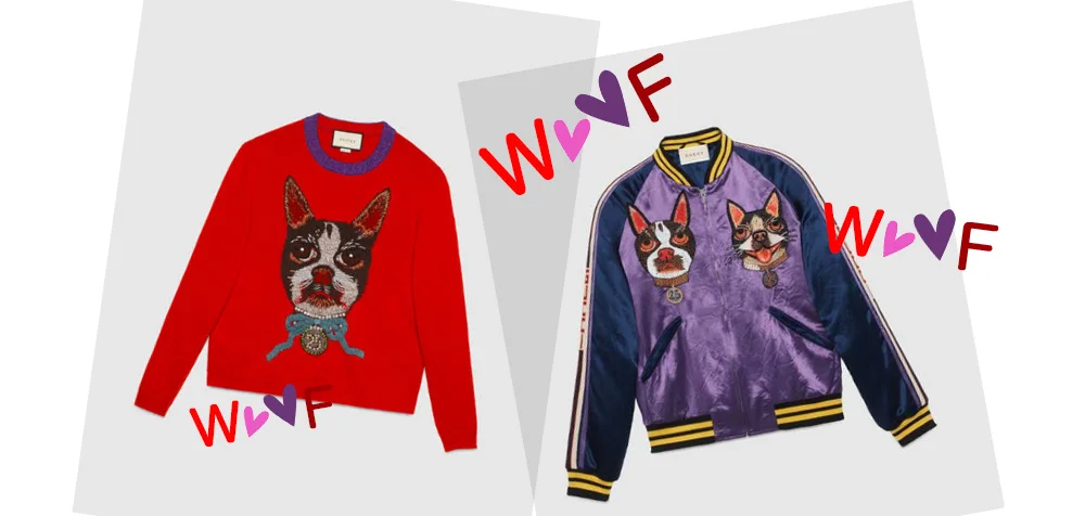 gucci jacket for dogs