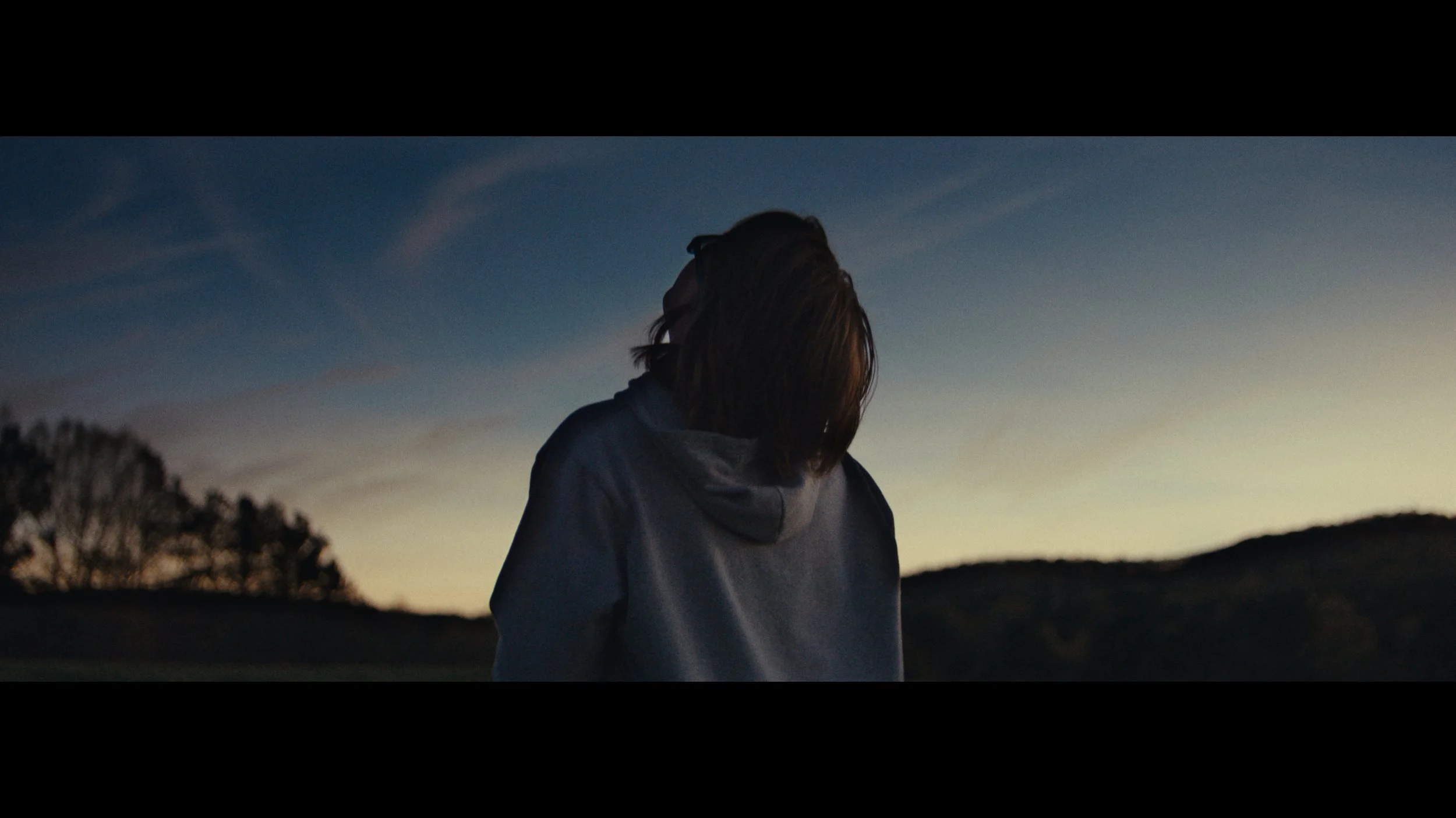 Blue Scuti_1.8.1.JPG