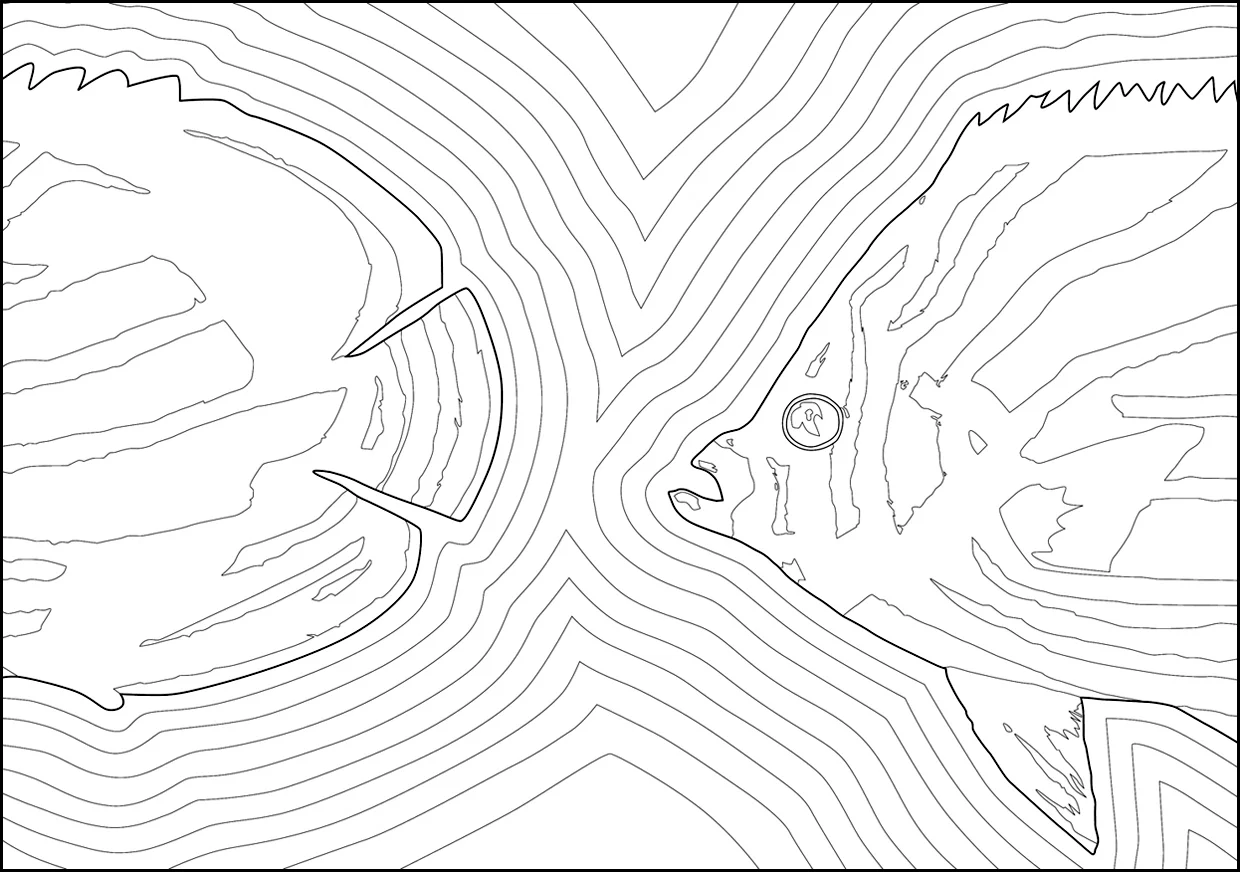 Split Fish lines.jpg