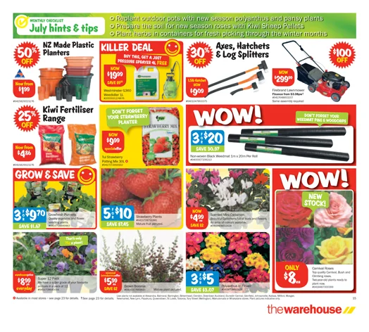 Mailer 50 15.jpg