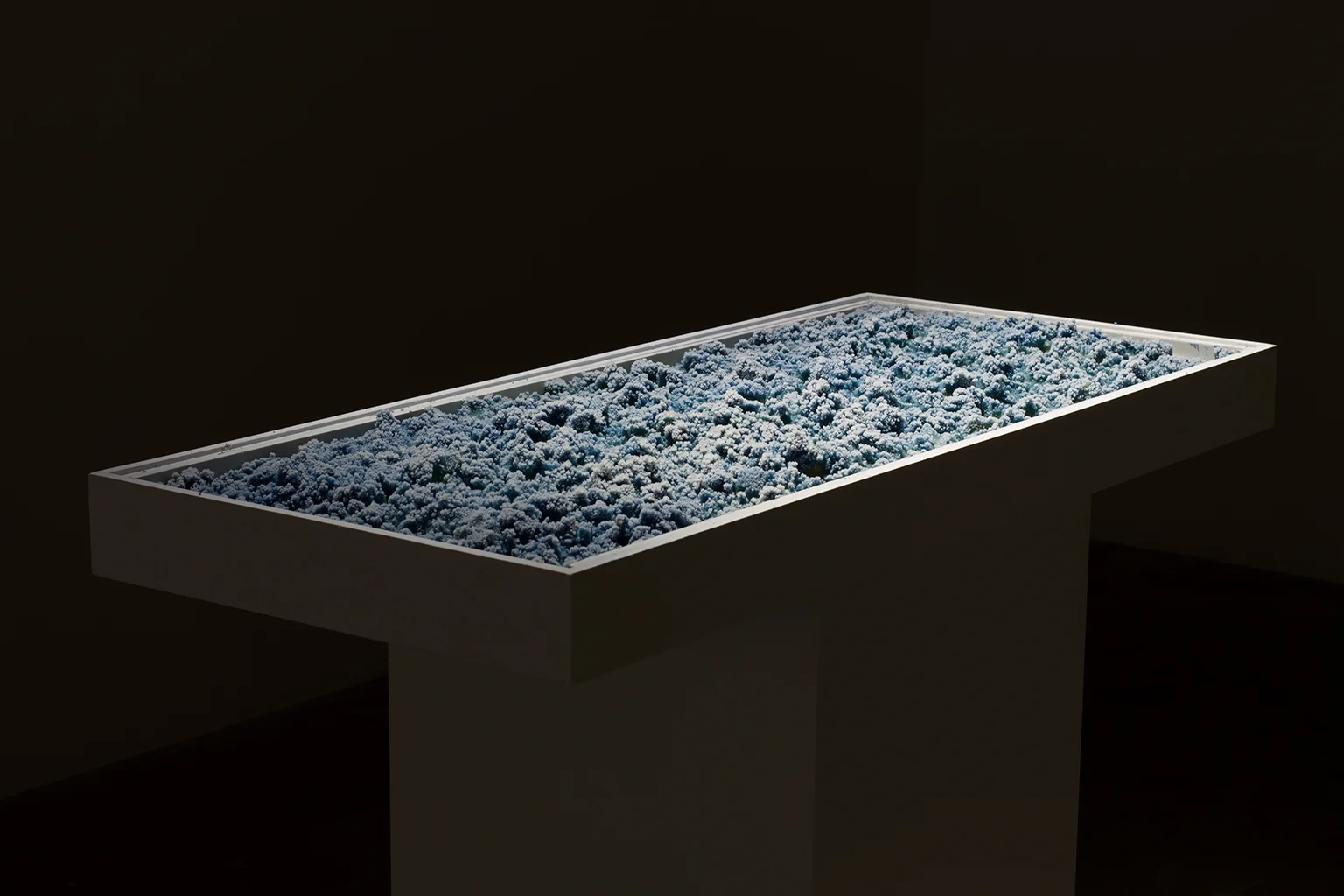 Capucine Vanderbrouck, Salpêtre , 2015