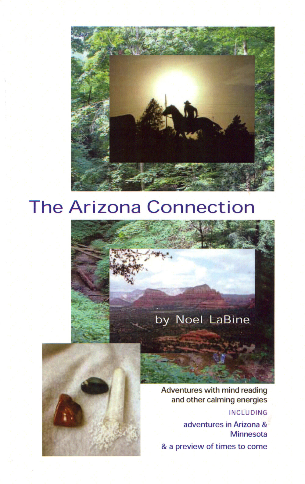 LaBine-ArizonaConnection.jpg