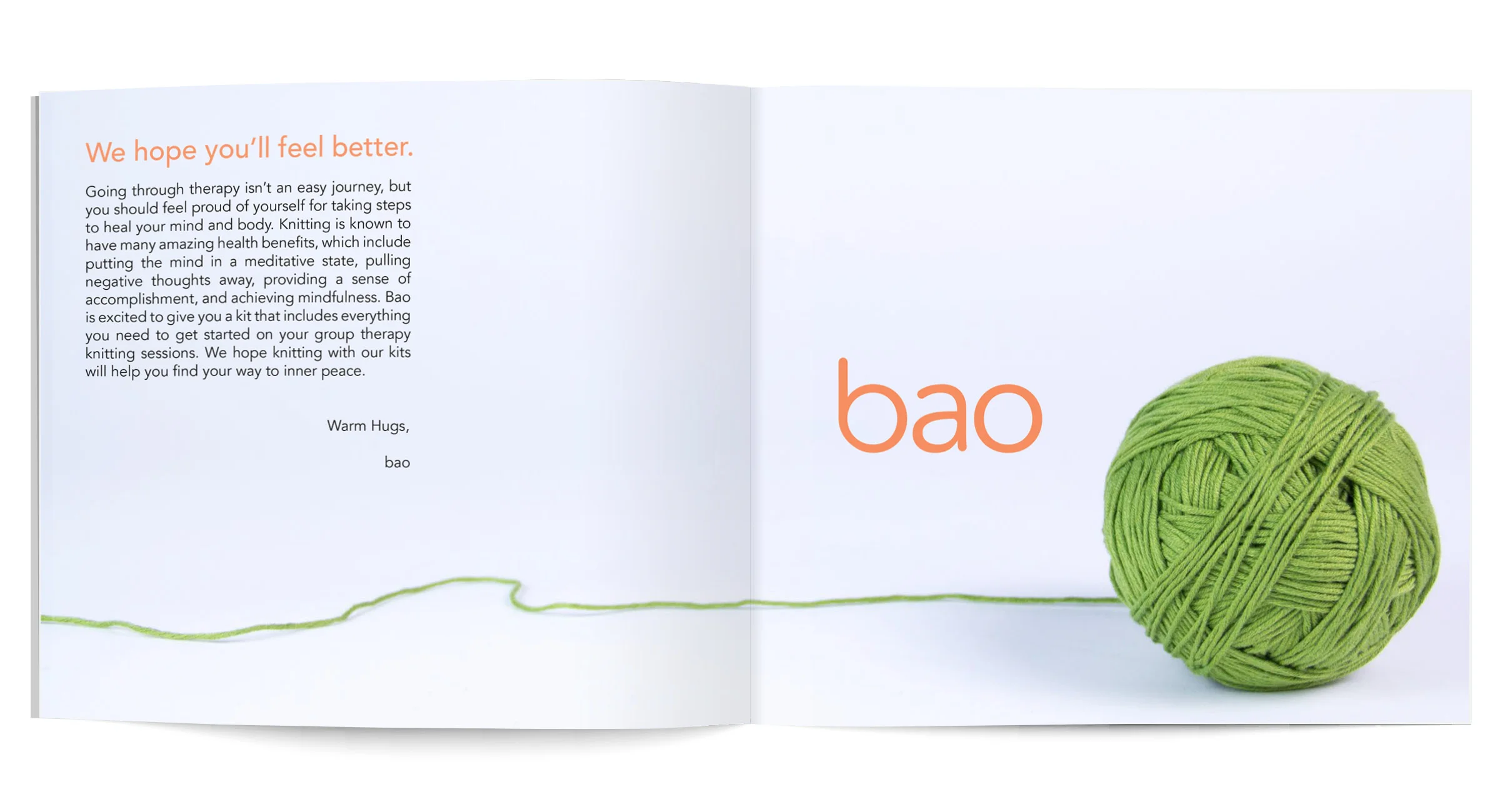Bao_Web_Pictures_Book_Jan_3_20163.jpg
