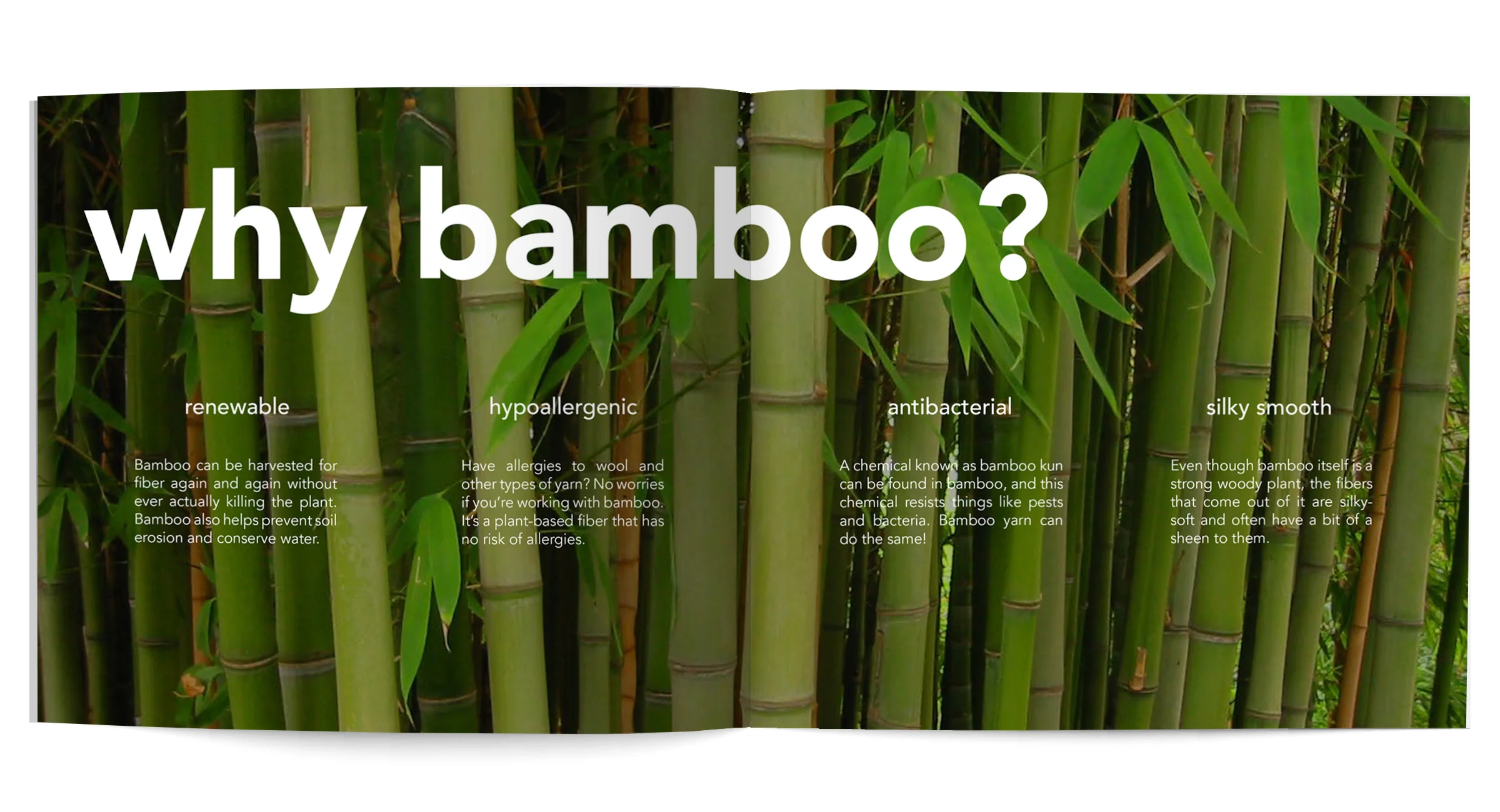 Bao_Web_Pictures_Book_Jan_3_20165.jpg