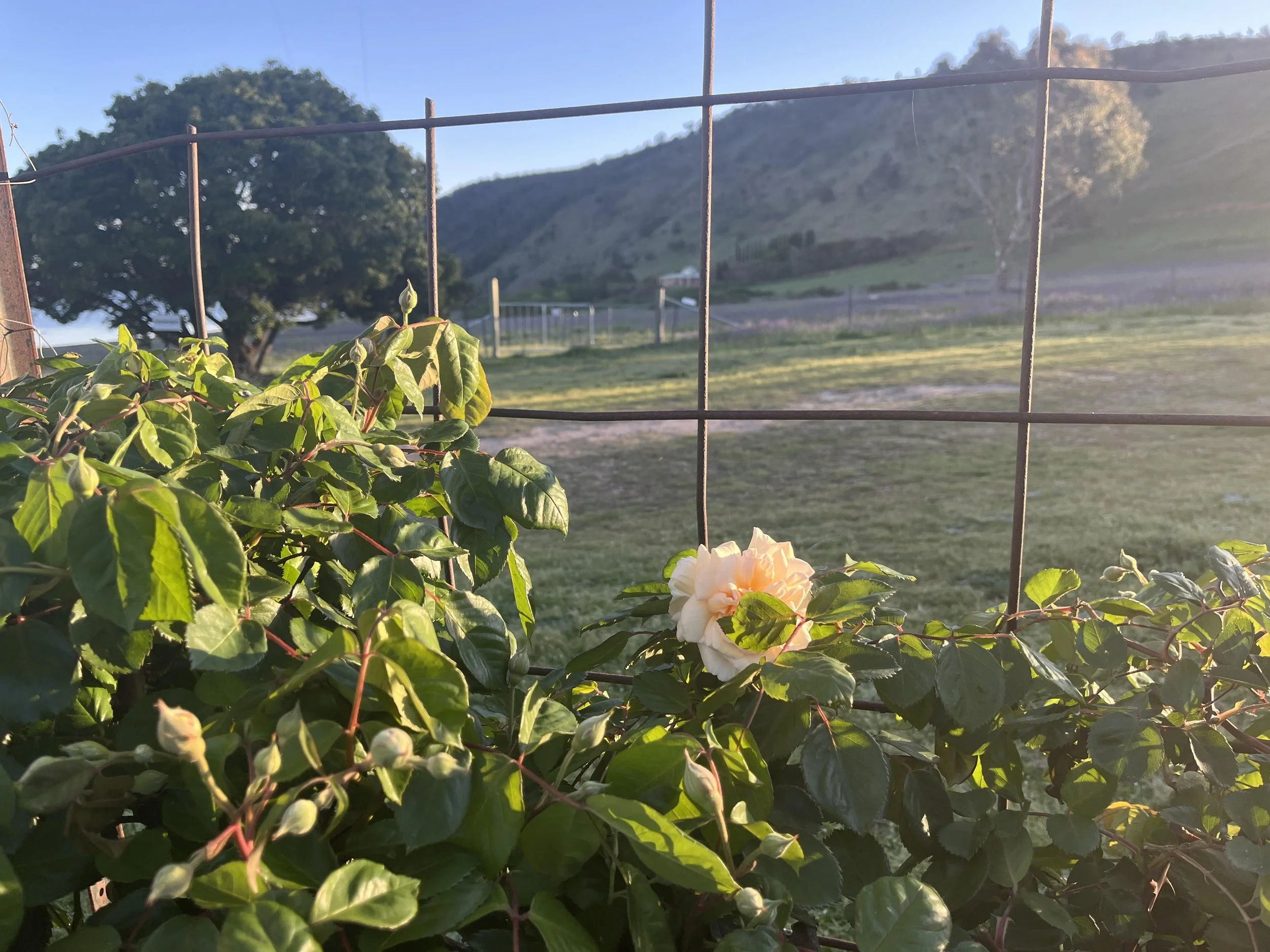 Garden, Land care &amp; Sojourners Gathering - February 18th - 22nd 2026