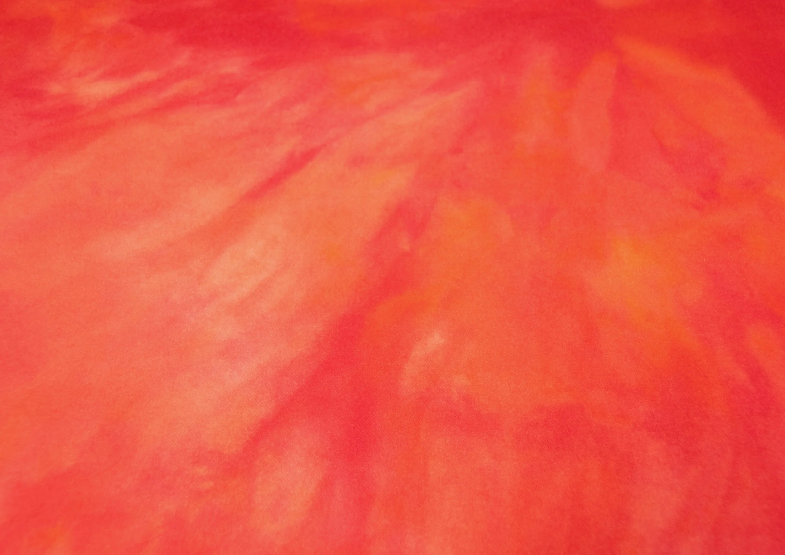 Cosmos Pink Orange Hand Dyed Wool