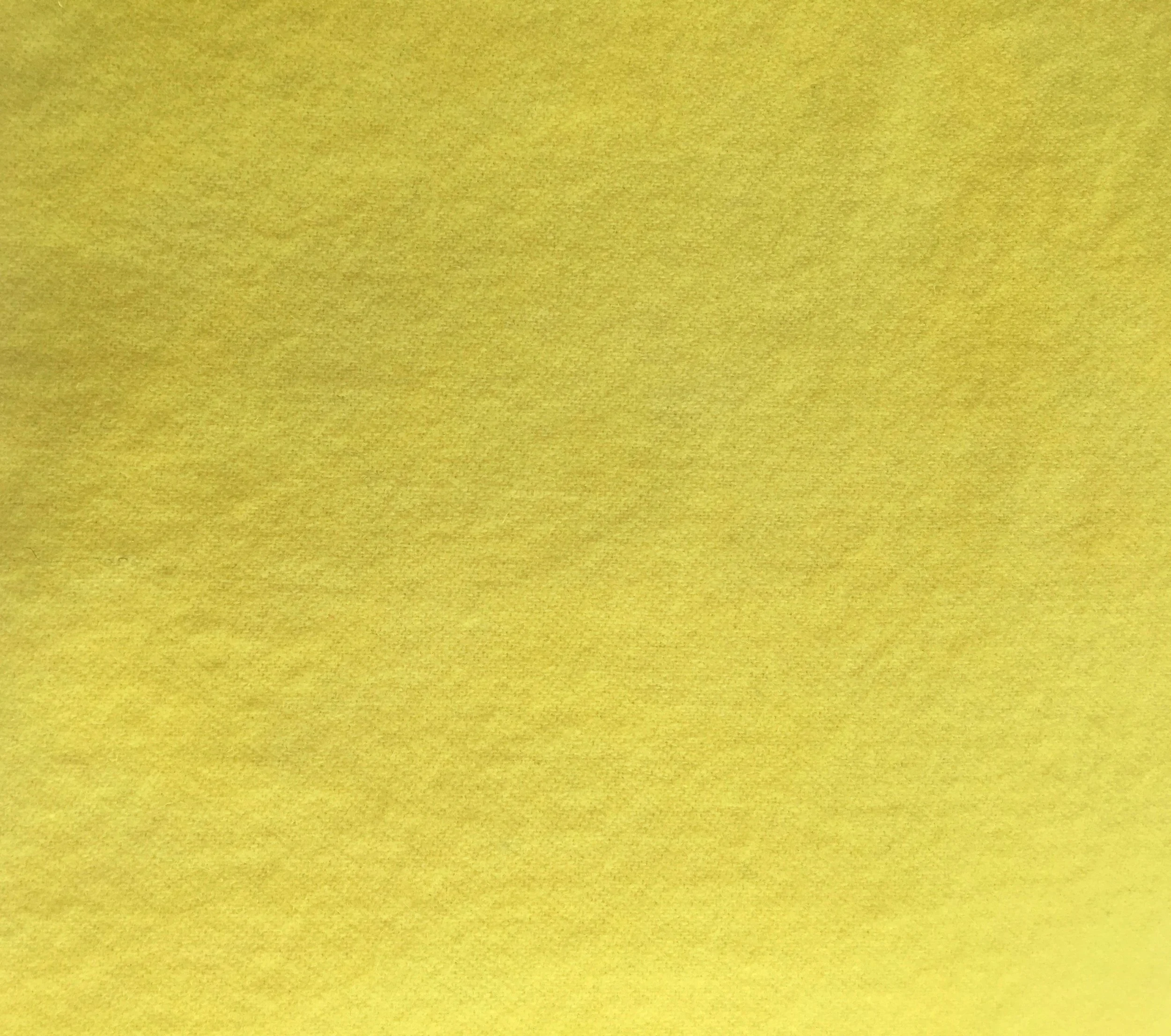 Lemon Peel.jpg