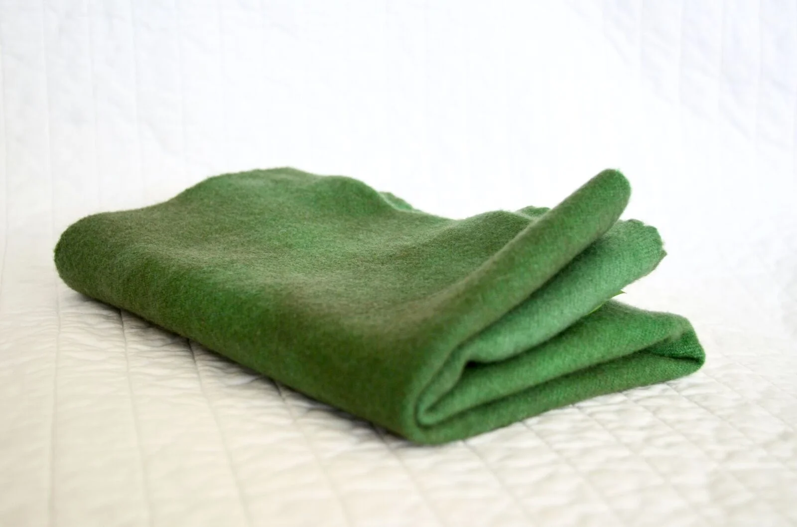 Alligator Green Hand Dyed Wool