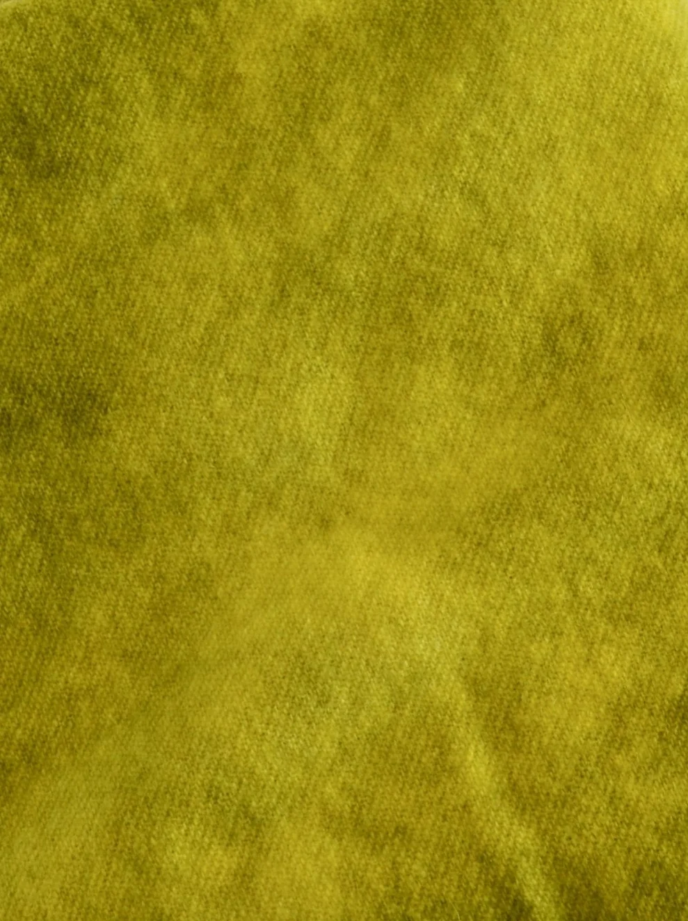 DSC_0729.jpg