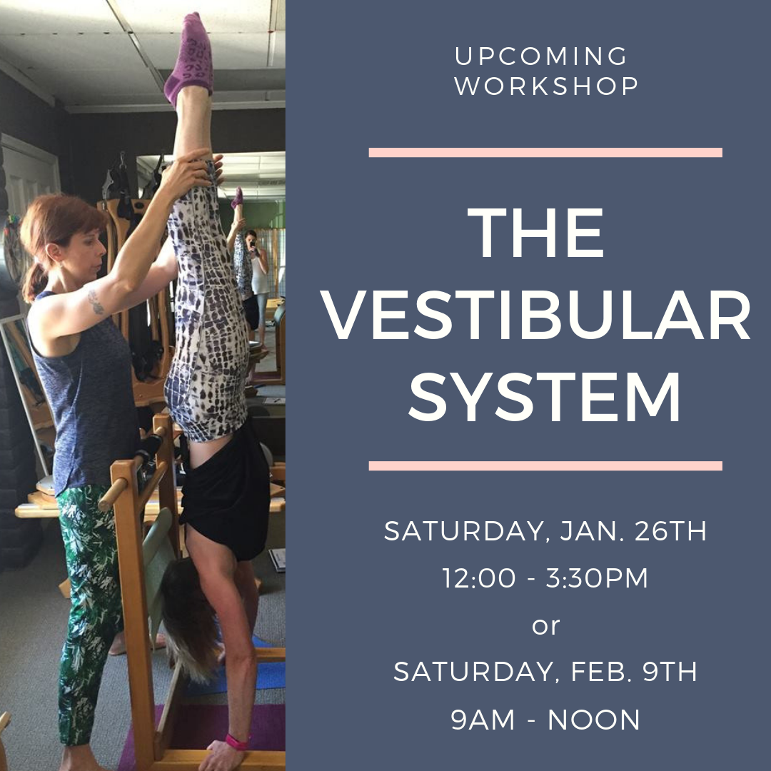 The Vestibular System