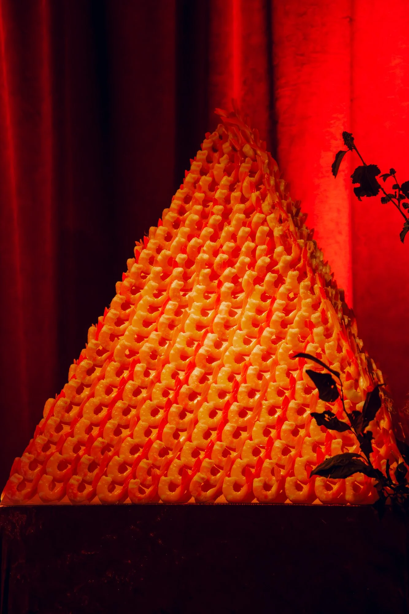 DSCF0705.jpg