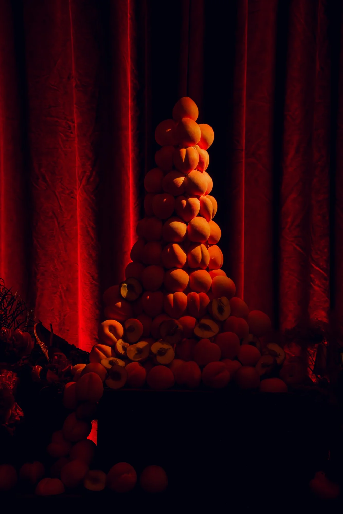 DSCF0732.jpg
