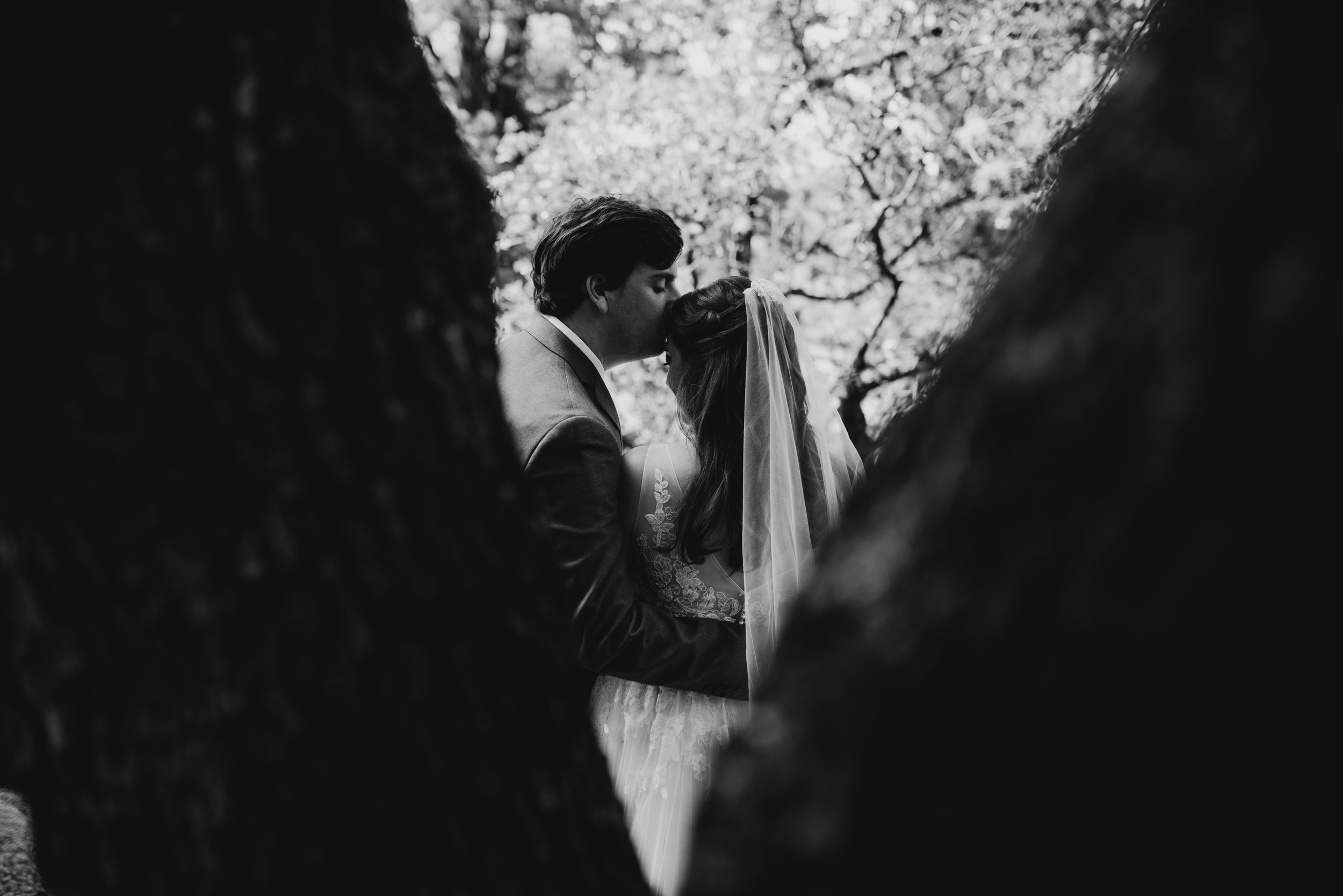 whimsical-austin-texas-garden-wedding-moth-and-moonlite-photography_007.jpg