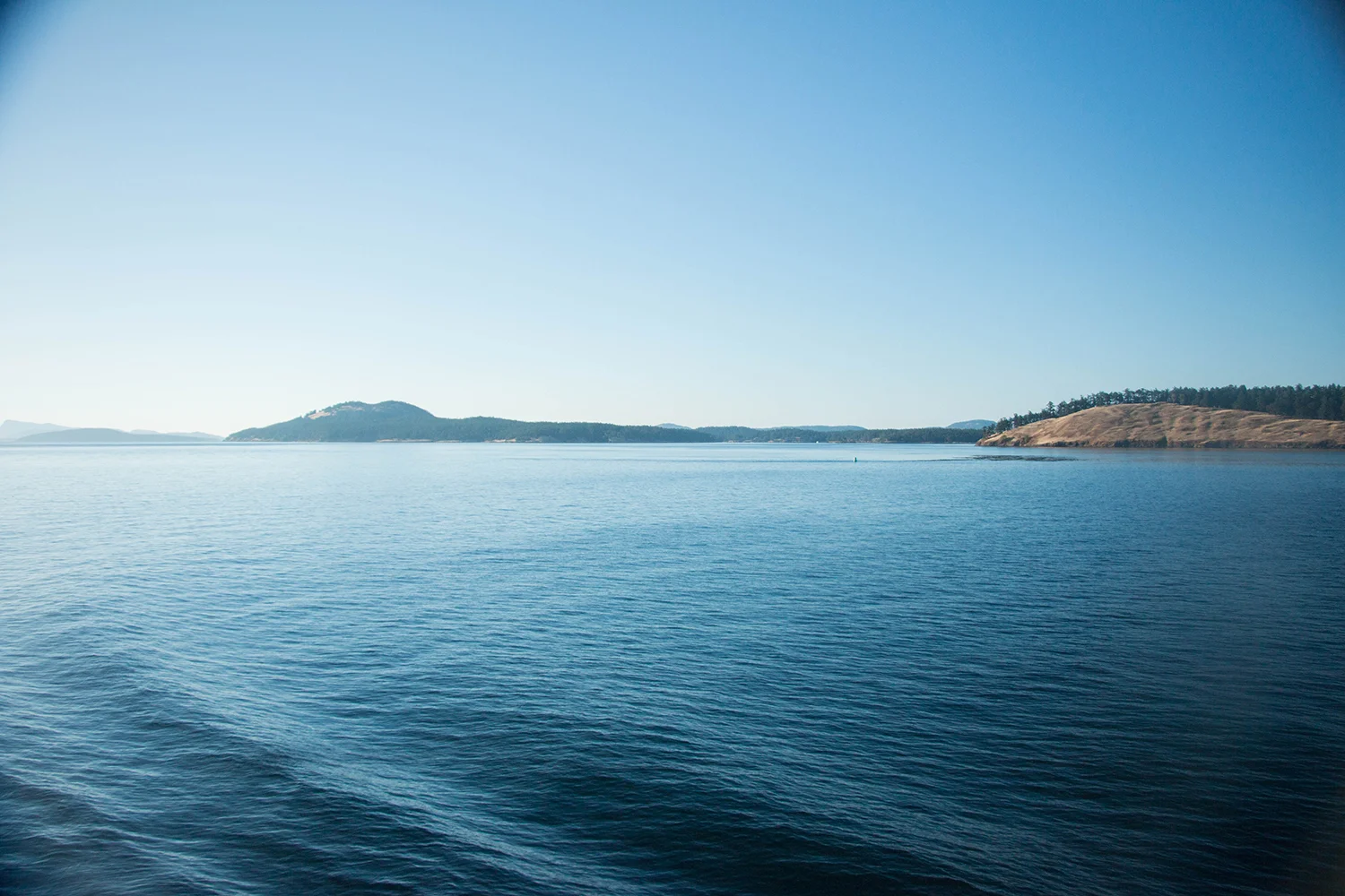 ferryview.jpg