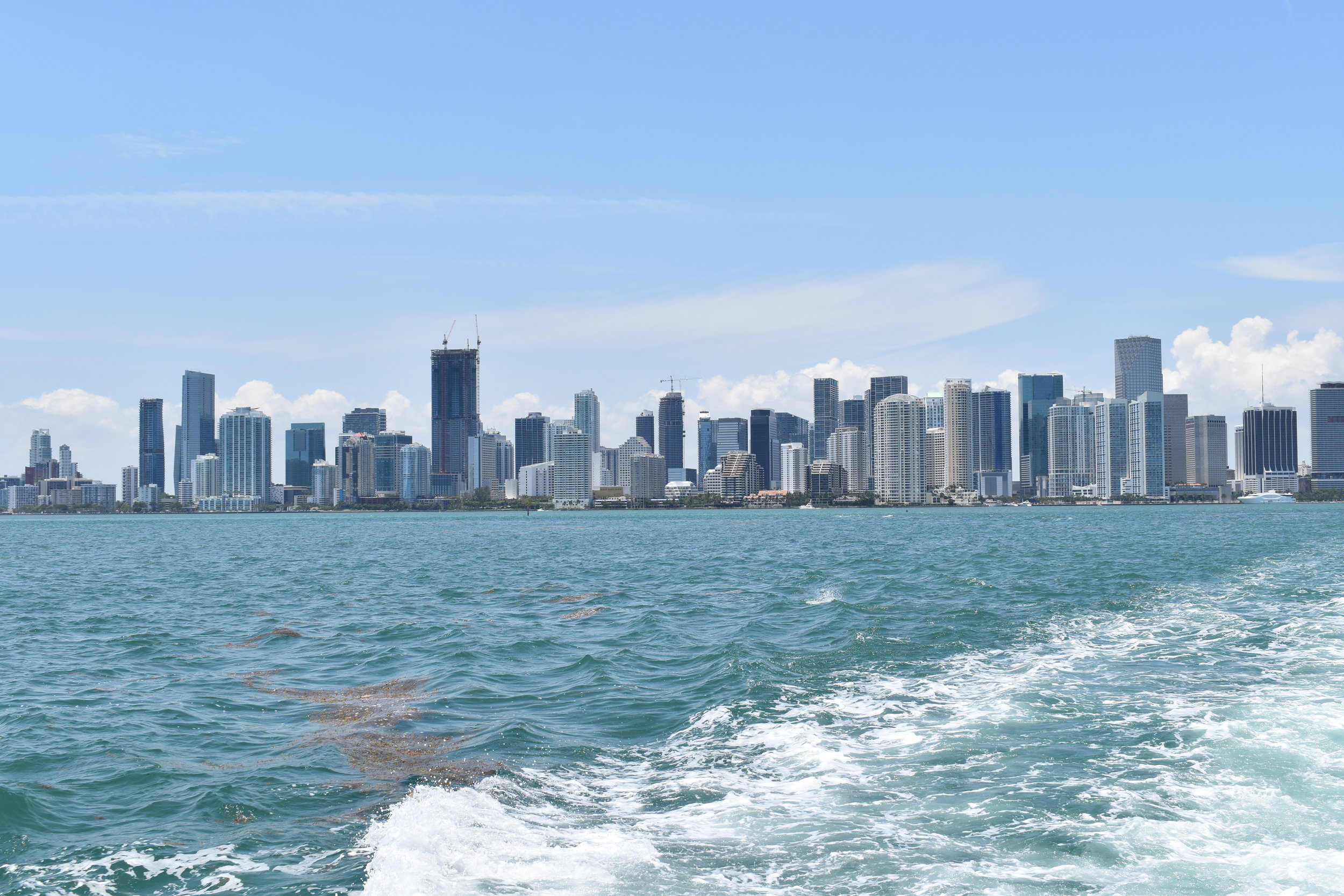 DSC_0117.JPG