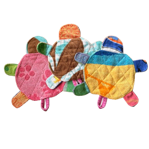 Random Turtle 1.png