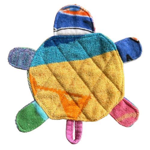 Random Turtle 3.png