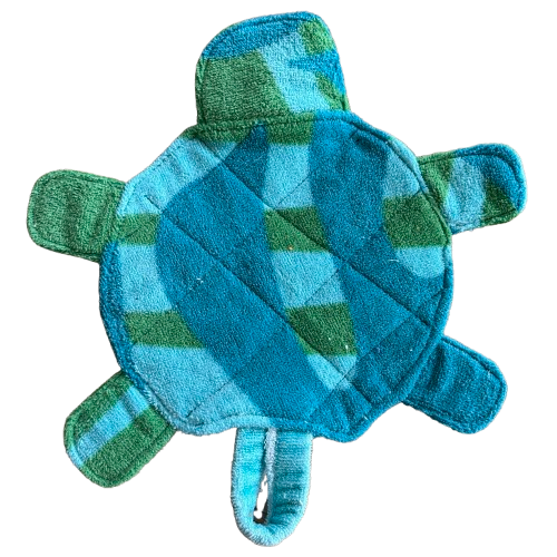 Blue Turtle 1.png