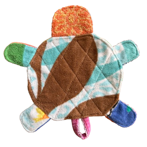 Random Turtle 4.png