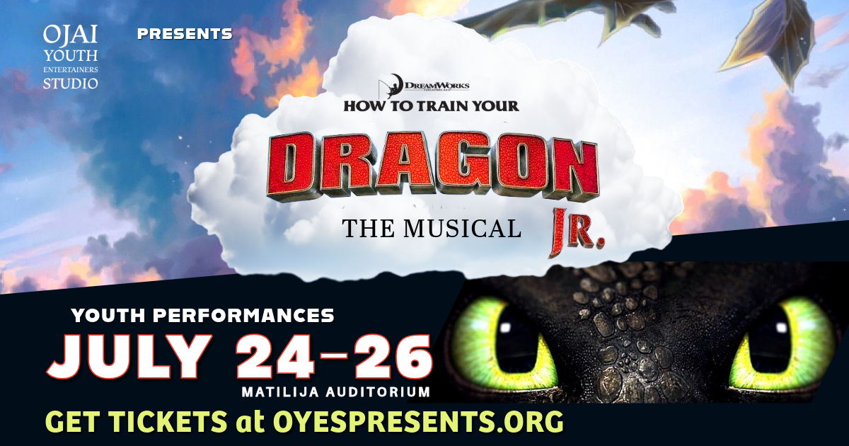 HOW TO TRAIN YOUR DRAGON, JR