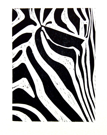 zebra.jpg