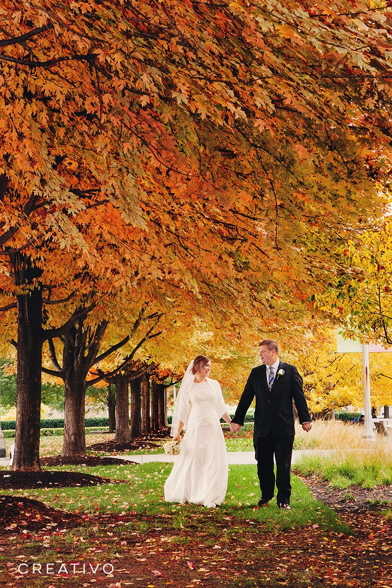 27. Autumn elopement in Chicago in a park with a canopy of stunning colored leaves