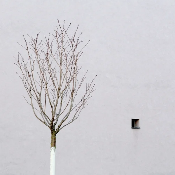 Julian-Schulze-Photography-P1-7.jpg